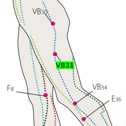 VB31